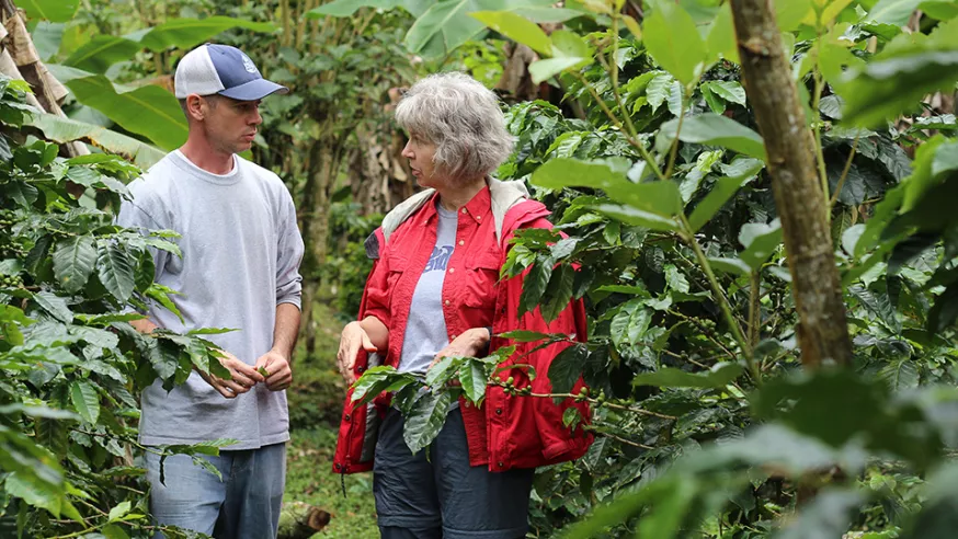 Coffee growers